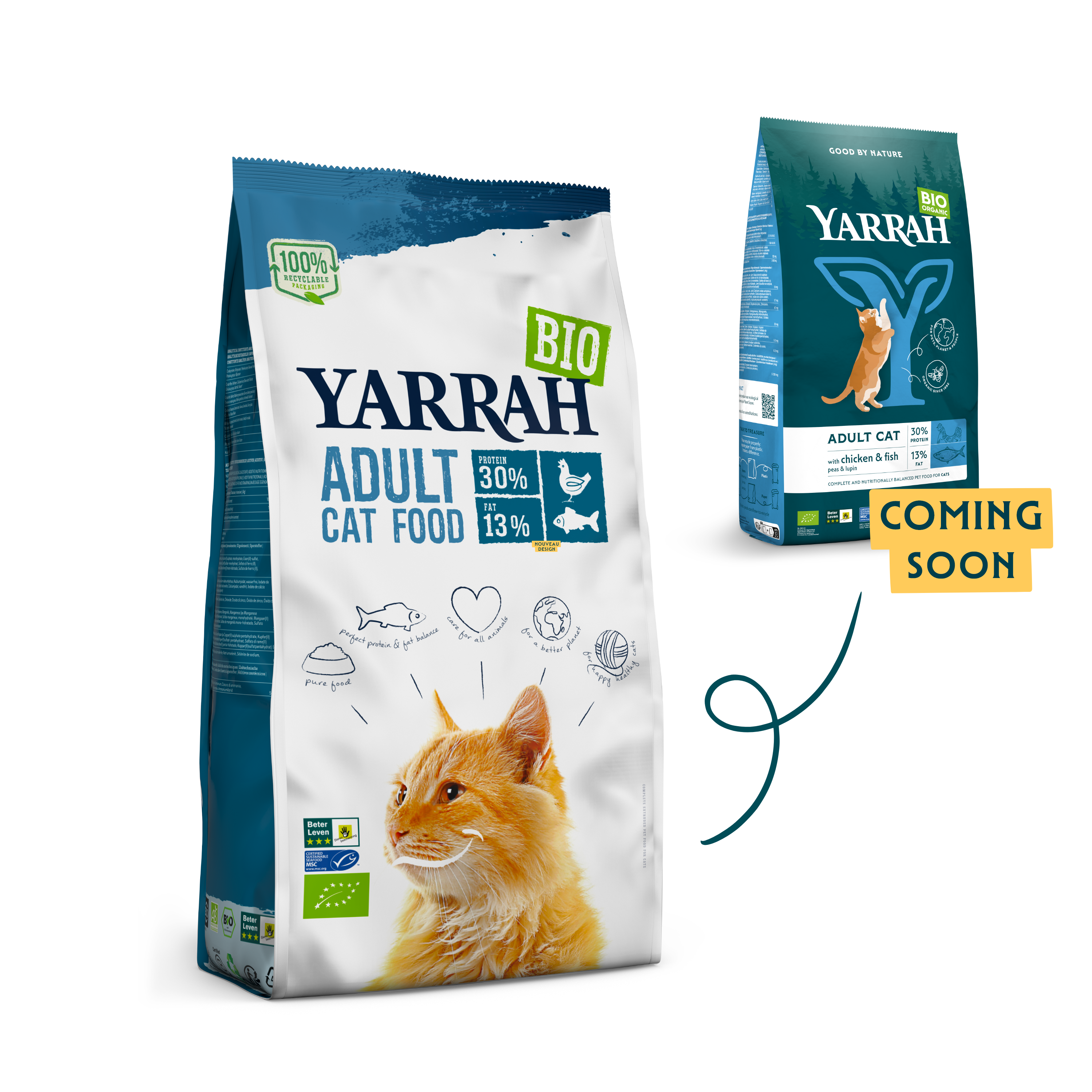 Organic Adult dry cat food with fish