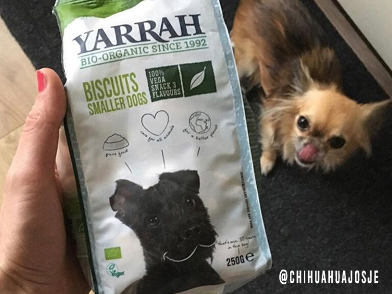Dog with Yarrah biscuits snack