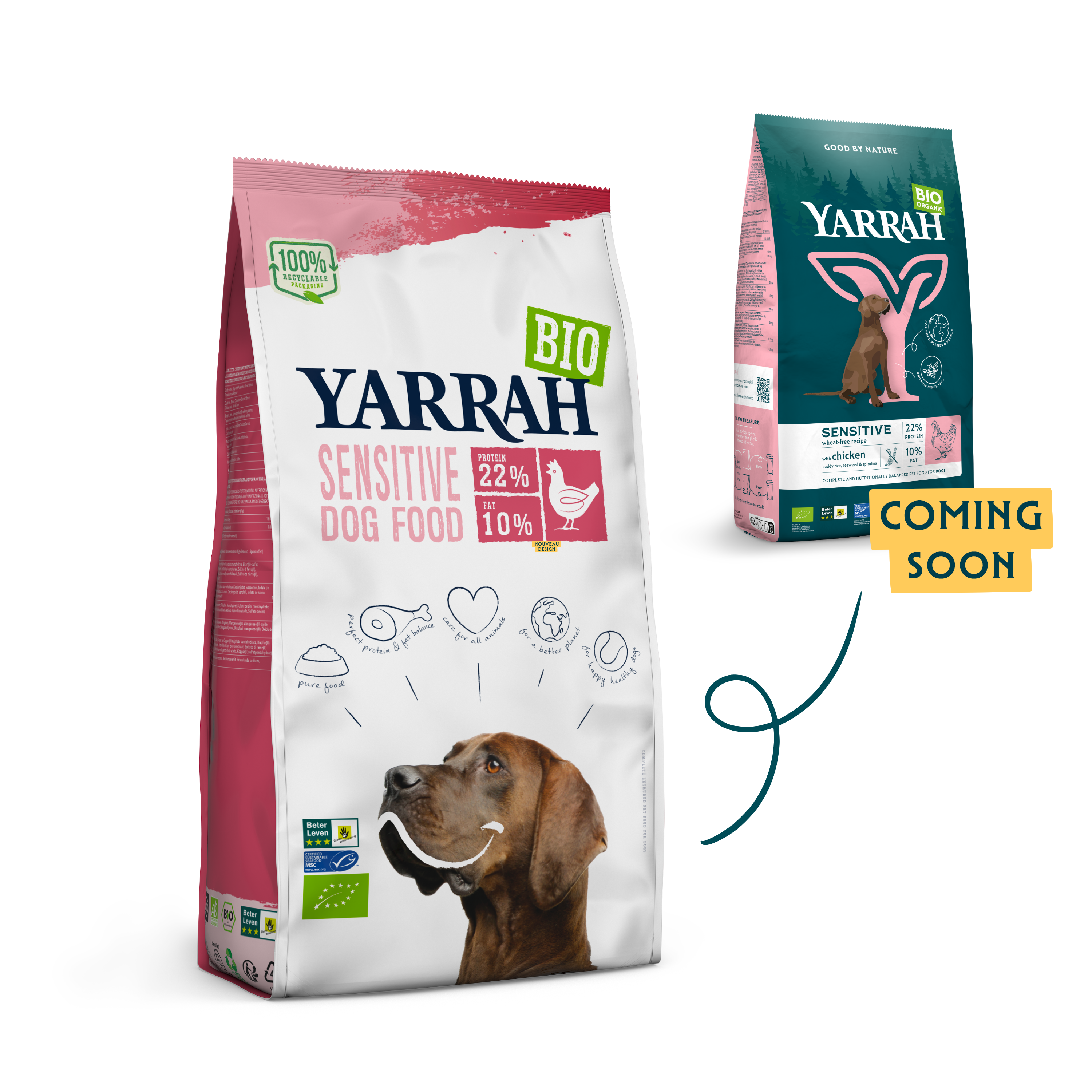 Organic Sensitive dry dog food