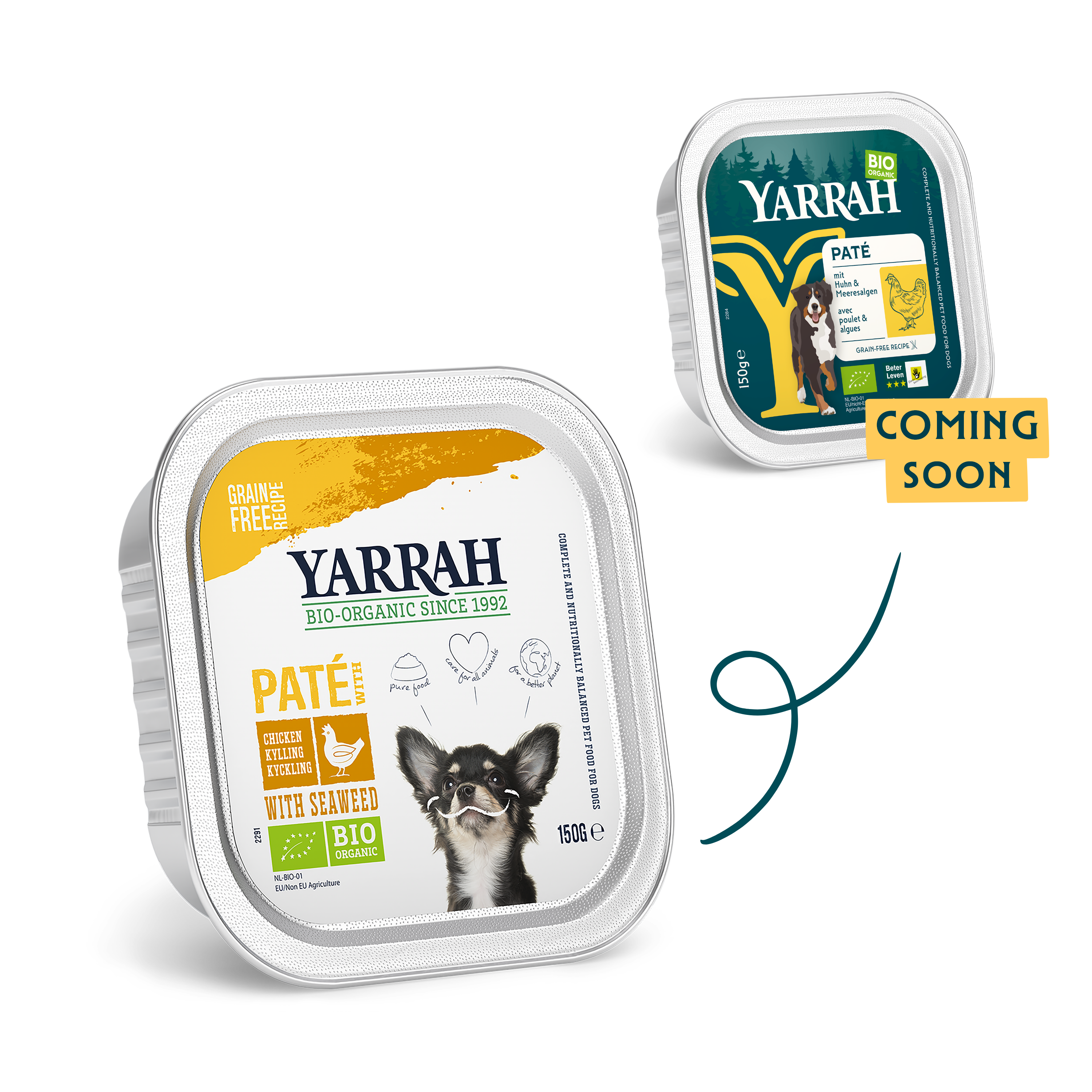 Organic dog food pâté with chicken