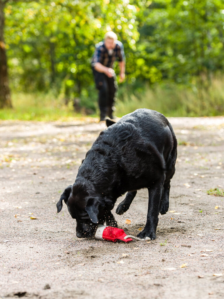 Apporteren met een hond