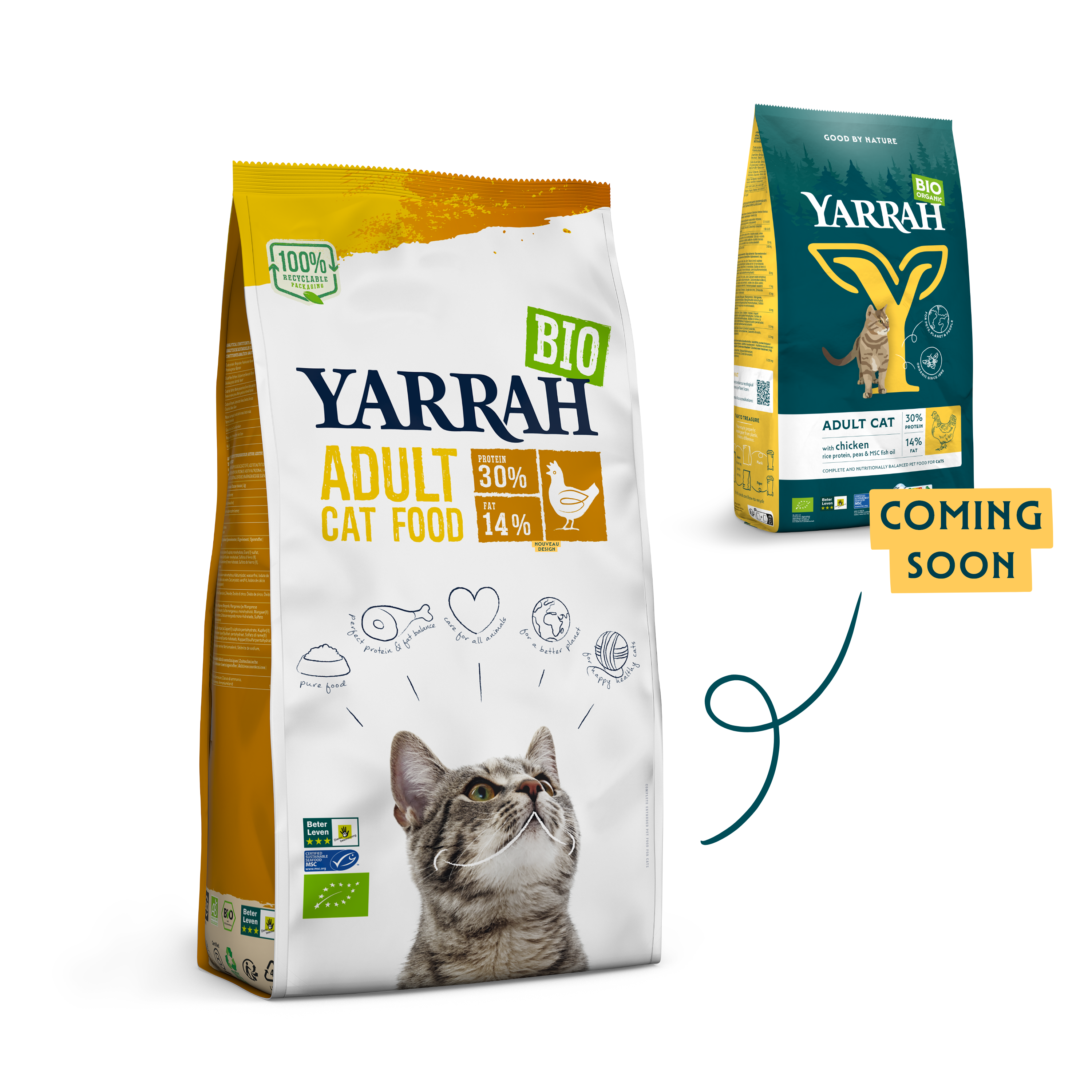 Organic Adult dry cat food with chicken