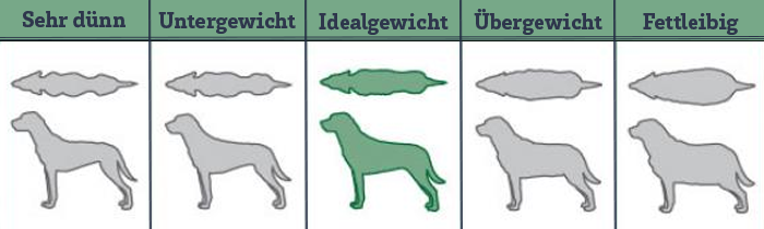 Dog body weight tabel