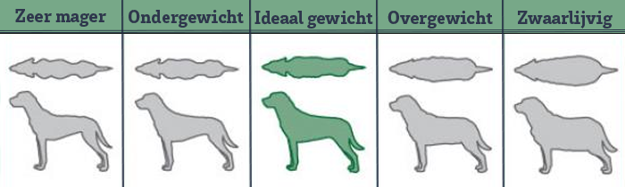 Dog body weight tabel