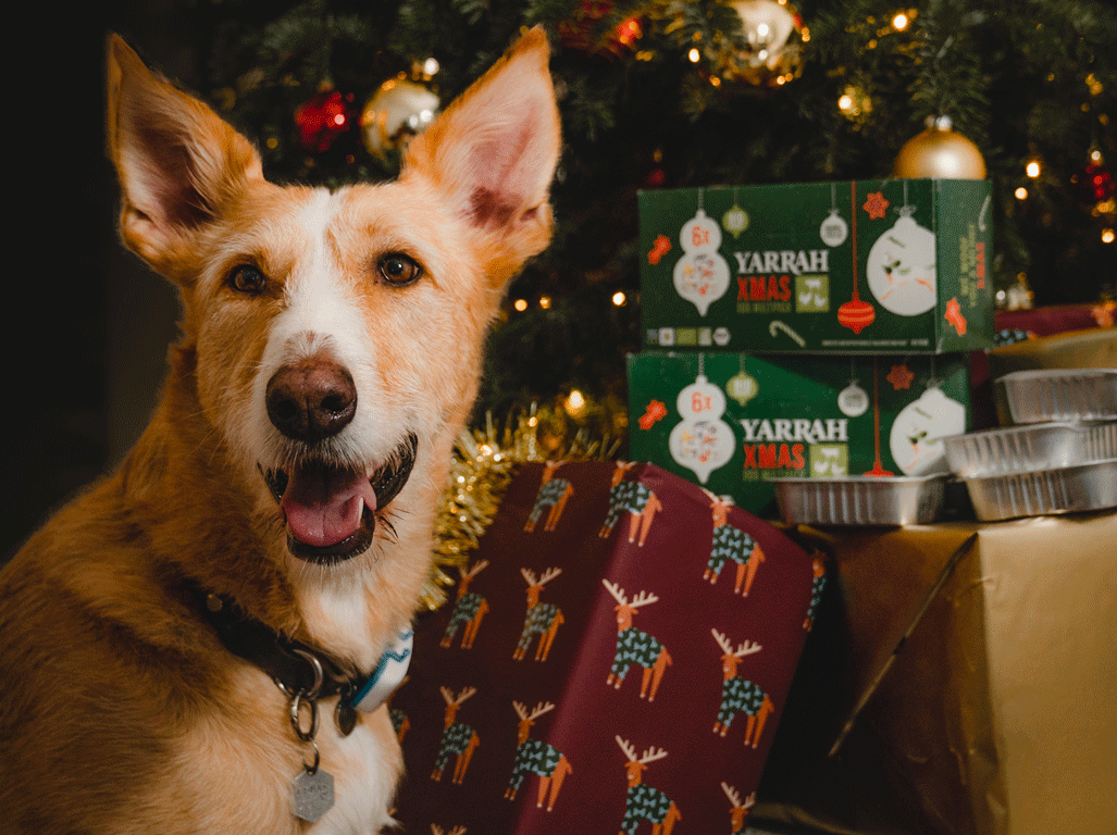 Dog Christmas