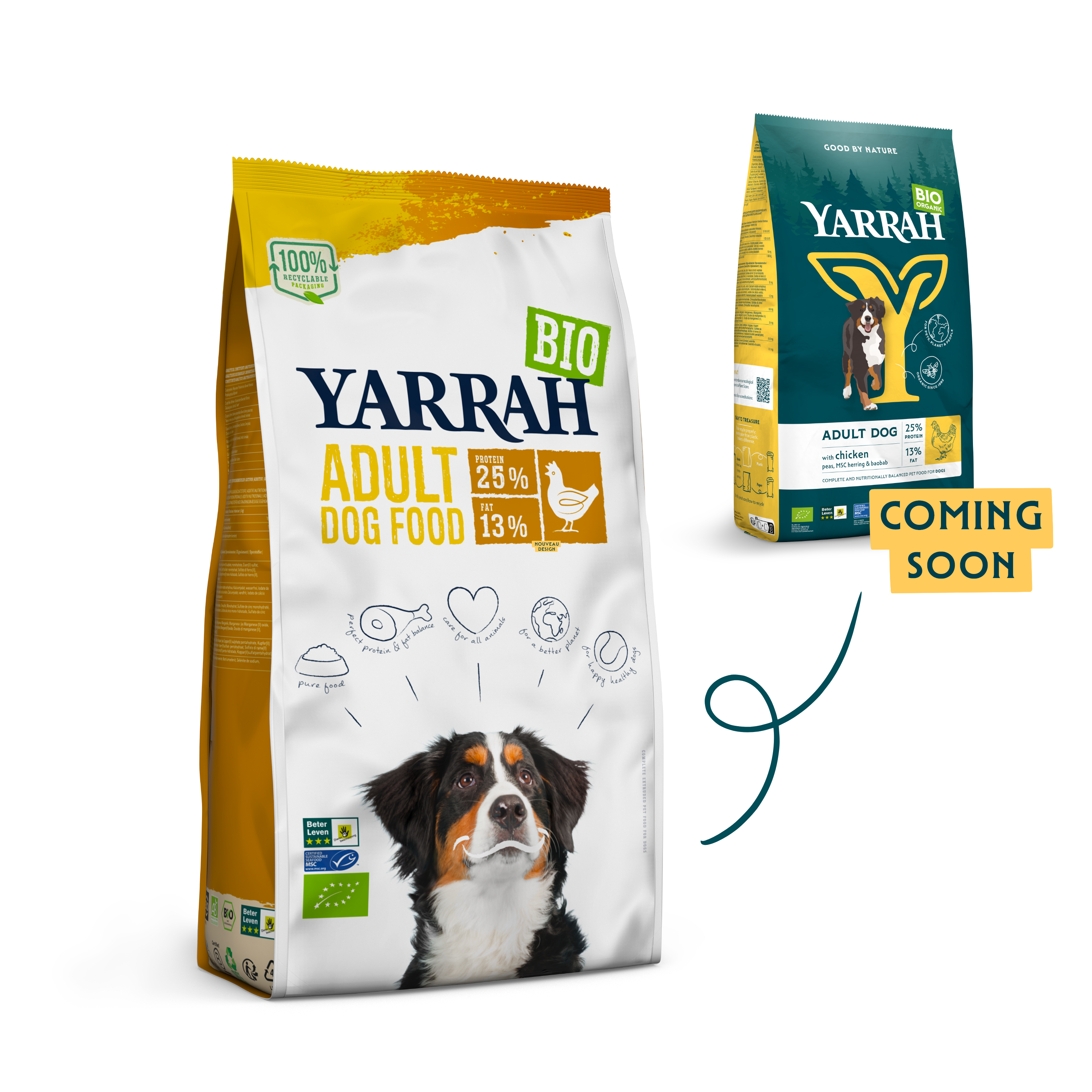 Organic Adult dry dog food with chicken