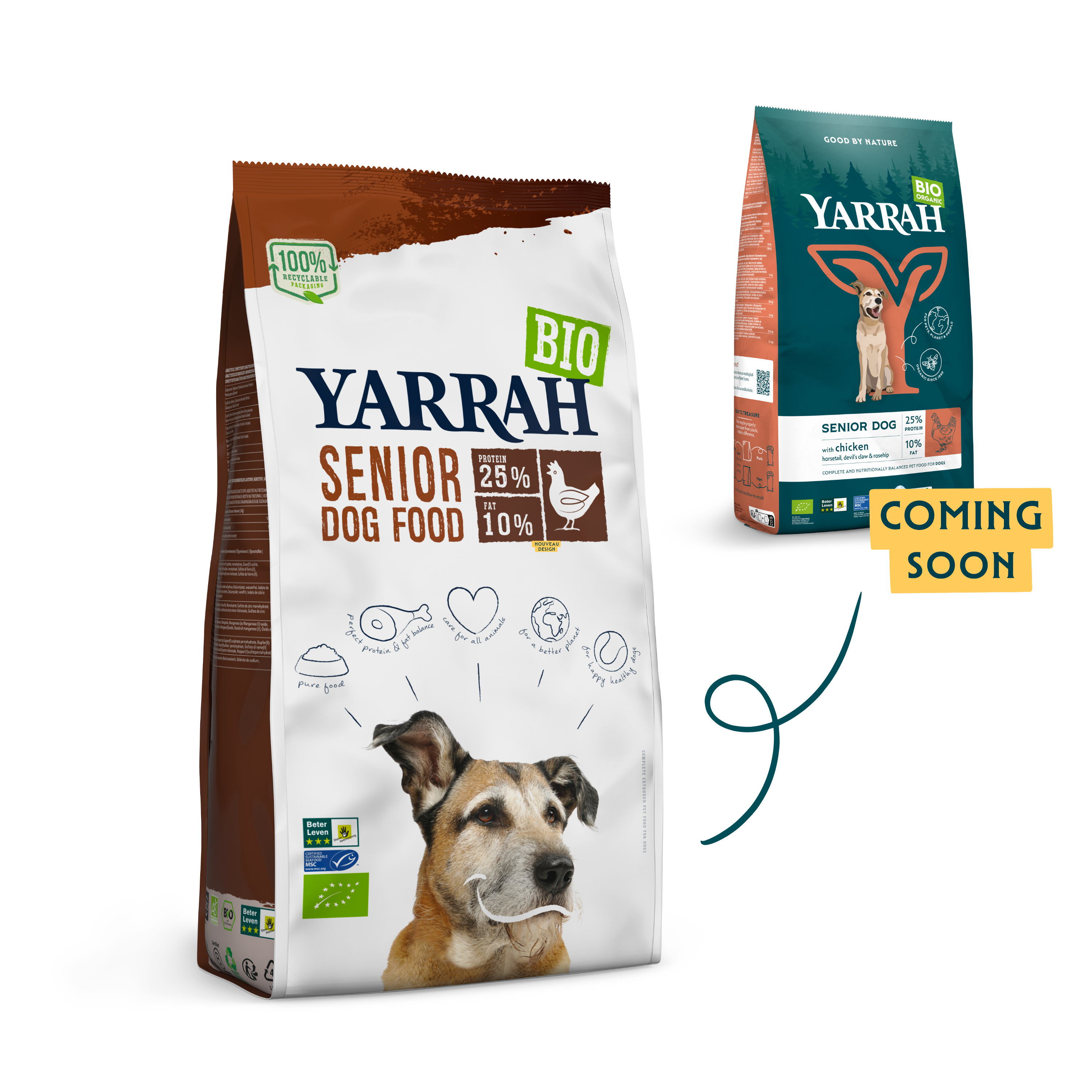 Organic Senior dry dog food