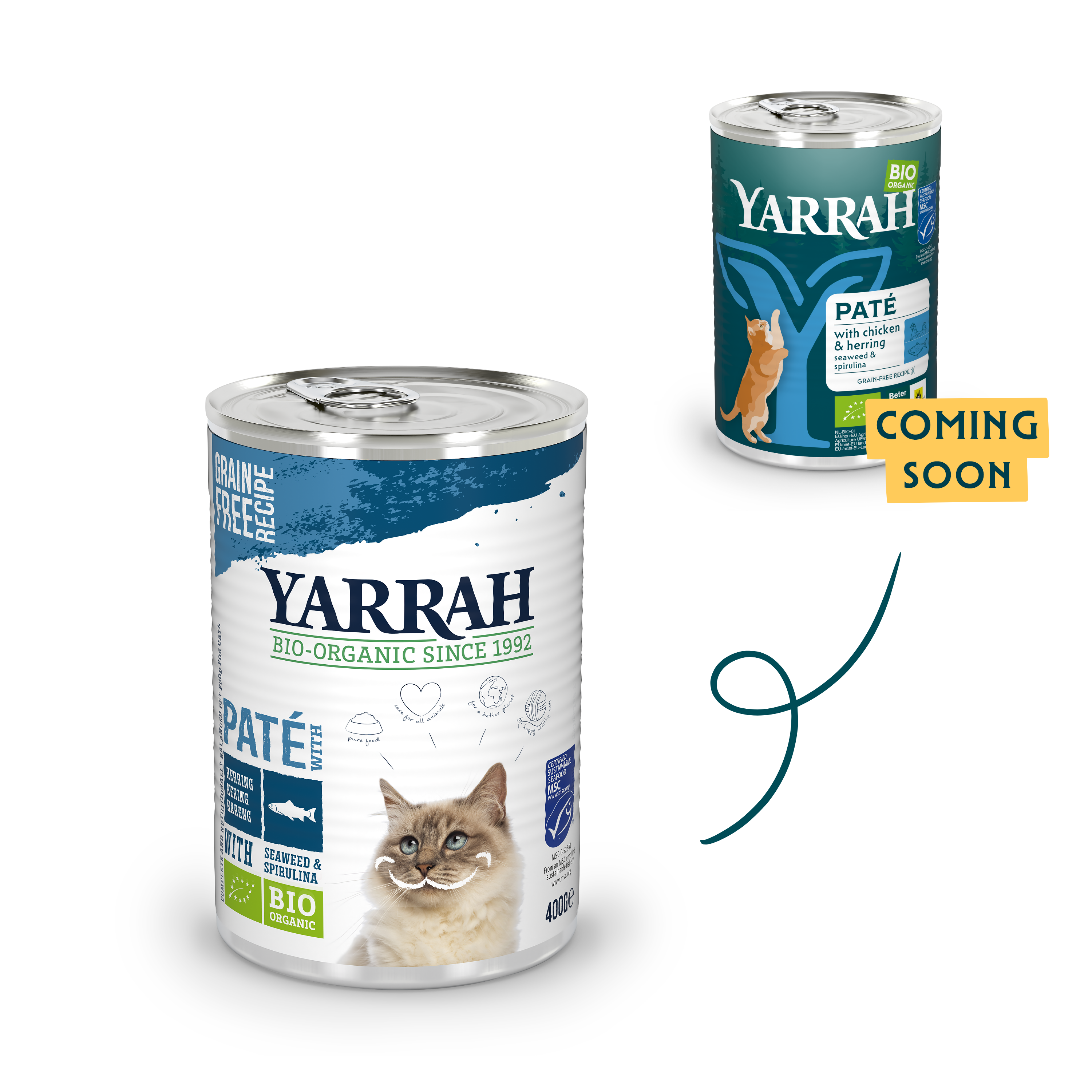 Organic cat food pâté with fish