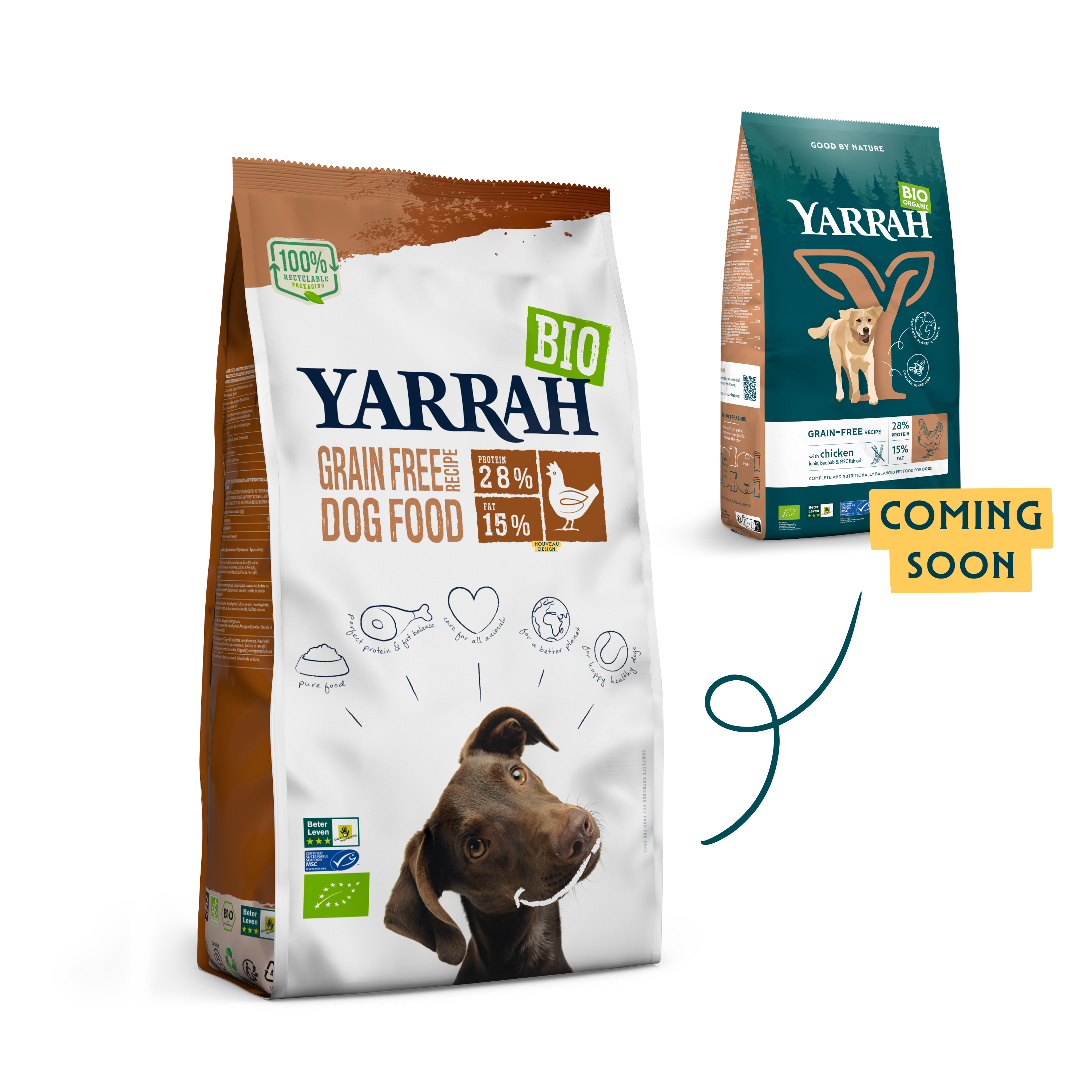 Organic Grain-Free dry dog food