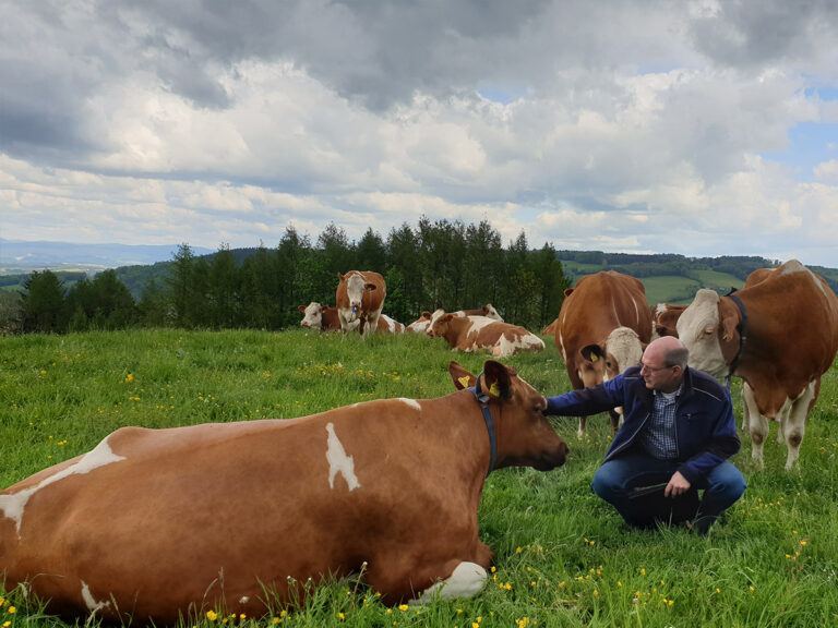 organic beef farm visit