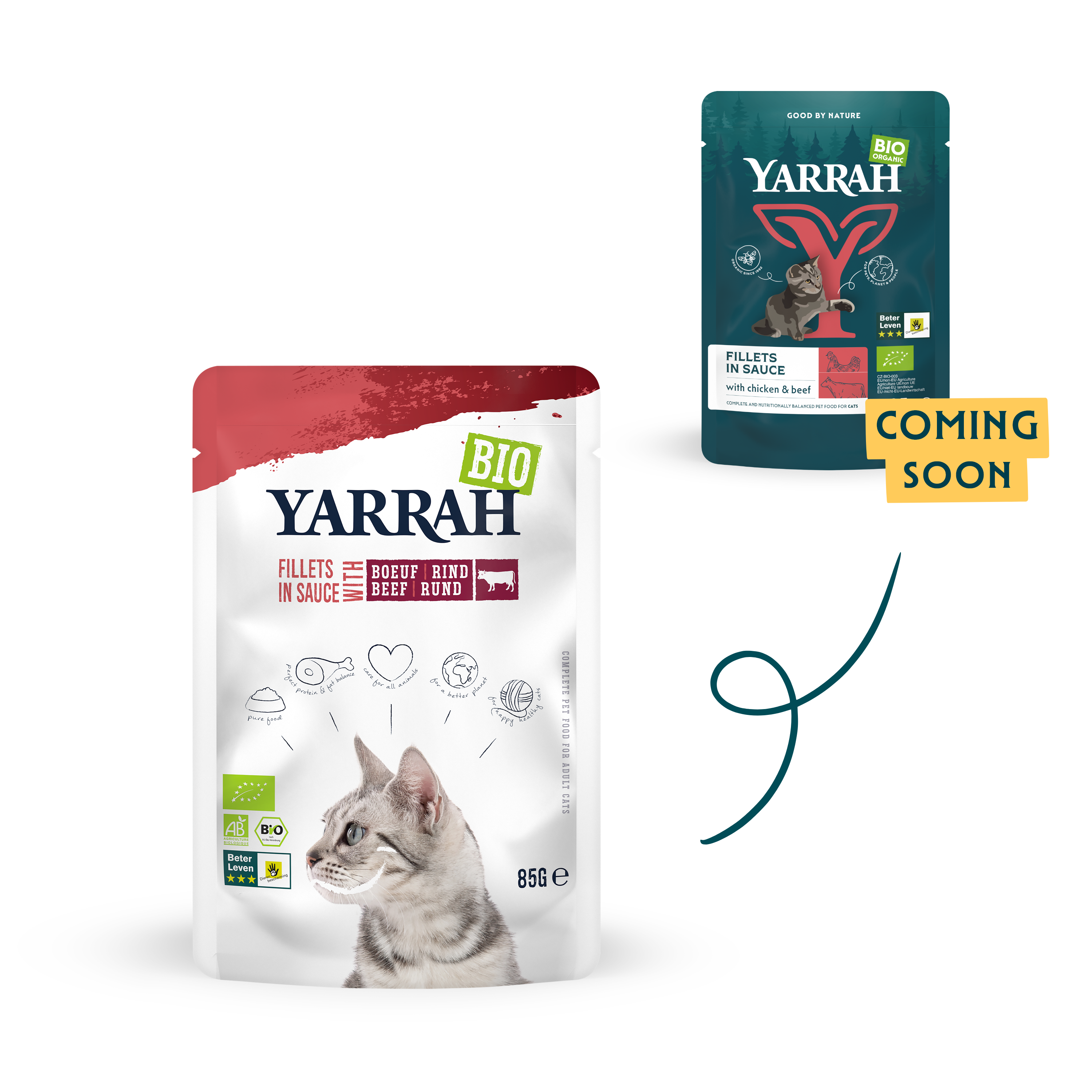 Organic cat food fillets with beef in sauce