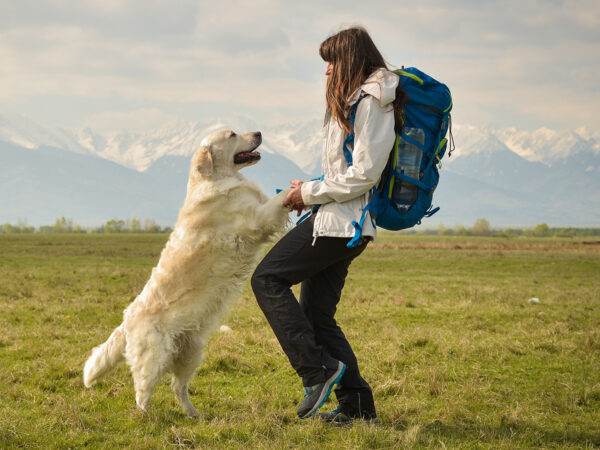 op vakantie met je hond