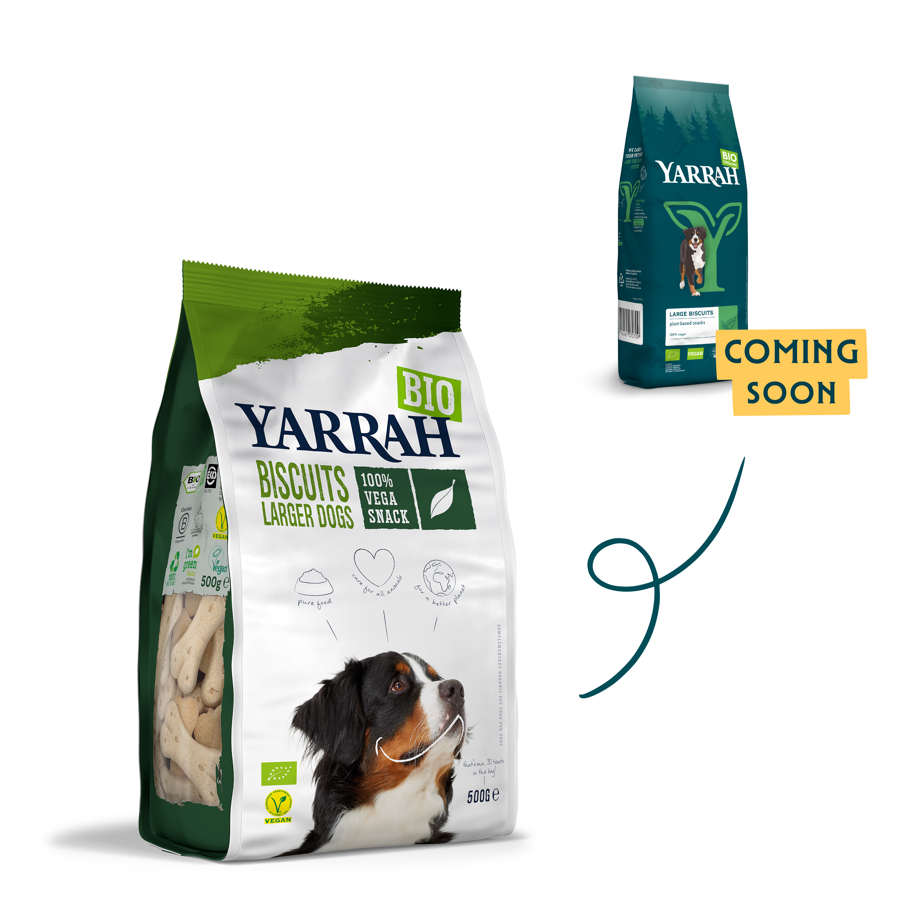Organic vegan dog biscuits for larger dogs