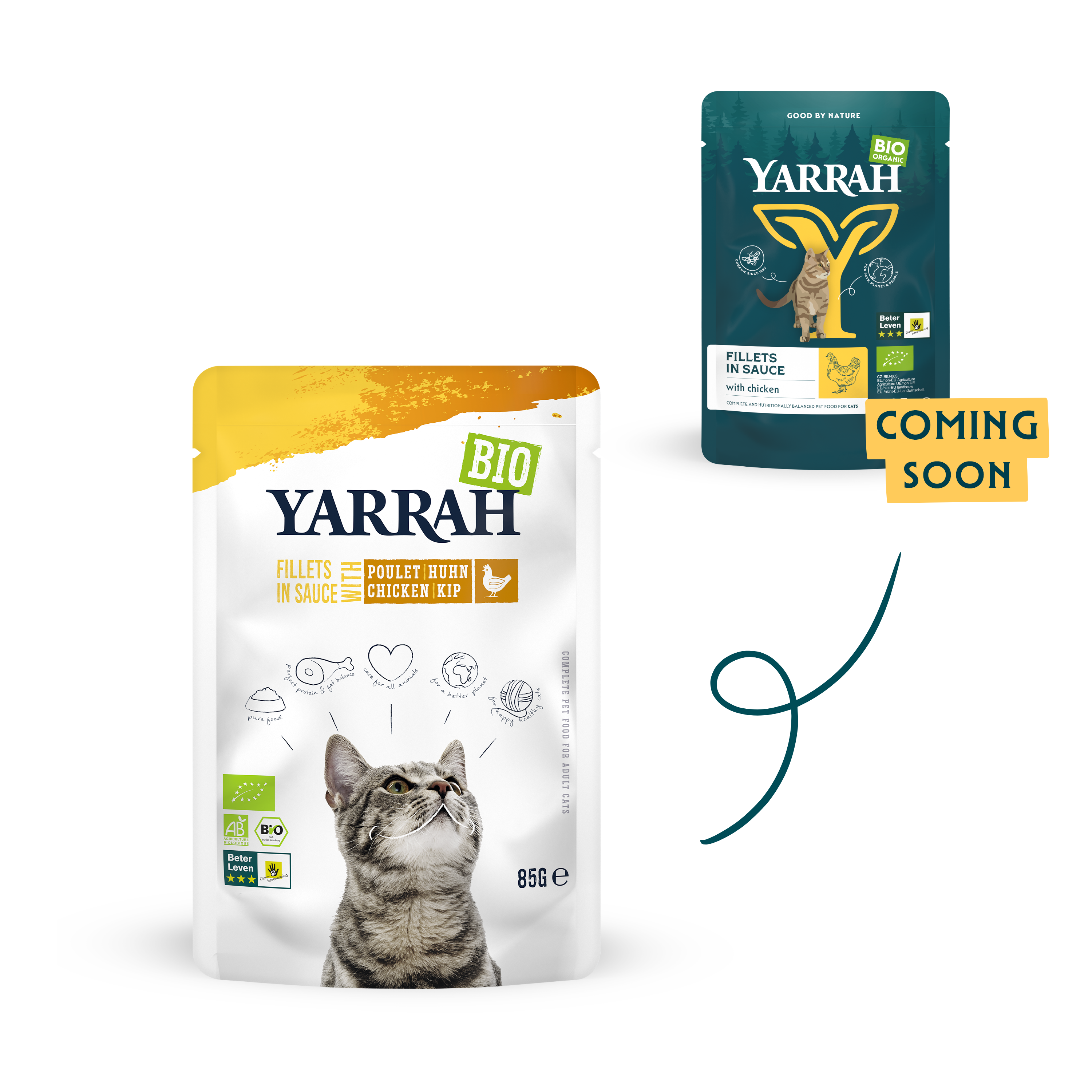Organic cat food fillets with chicken in sauce
