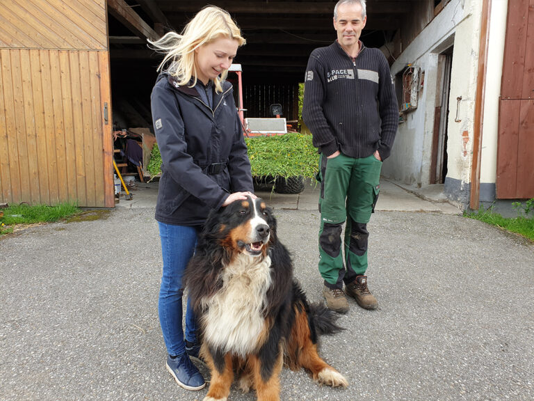 organic beef farm visit