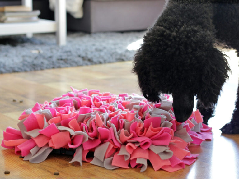 Snuffle mat for your dog or cat