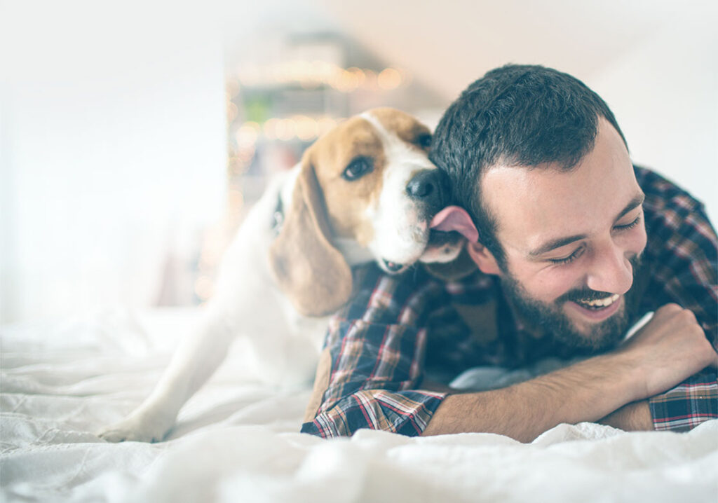 influence of coronavirus on your dog or cat