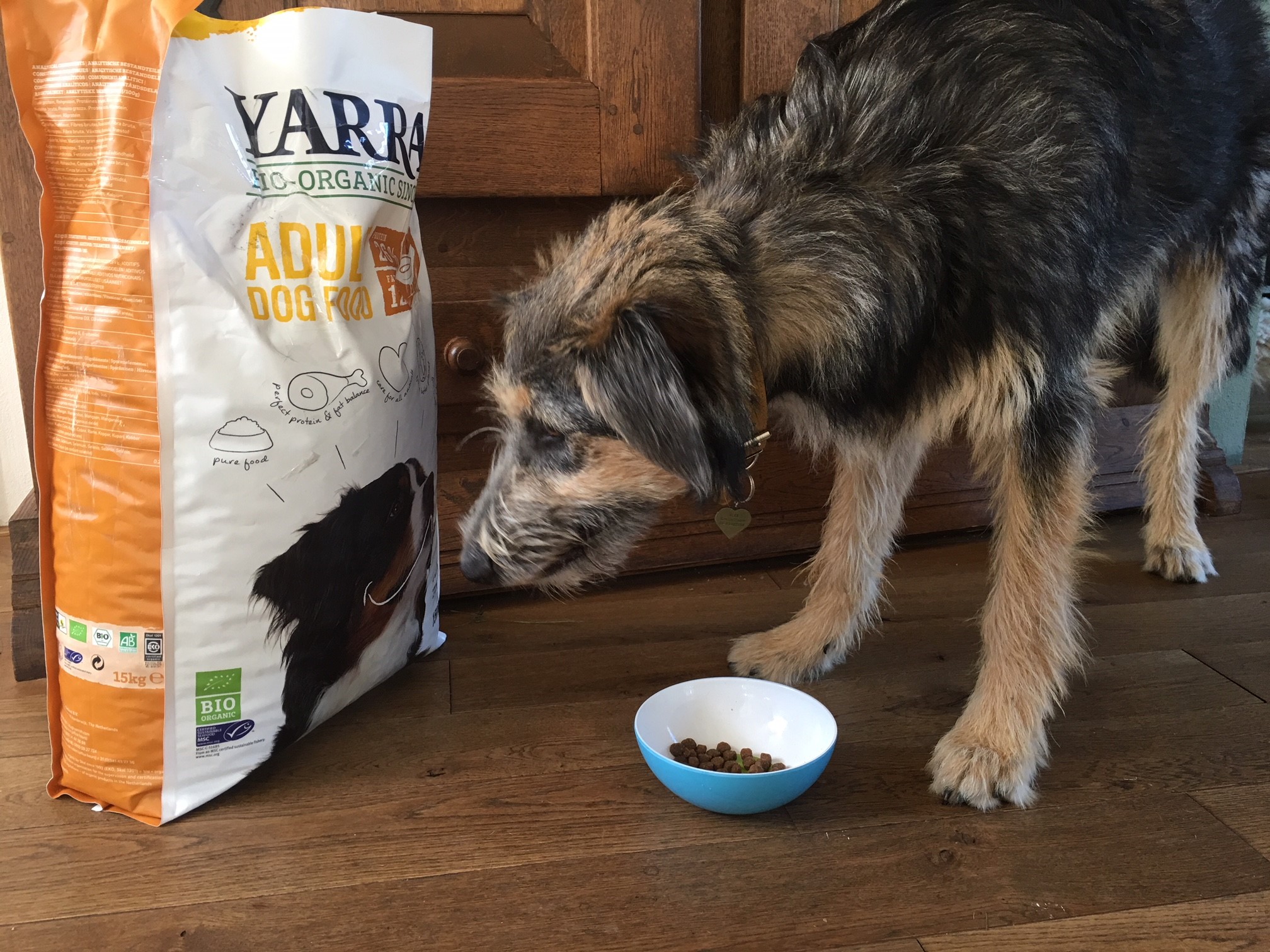 wat mag een puppy eten en drinken