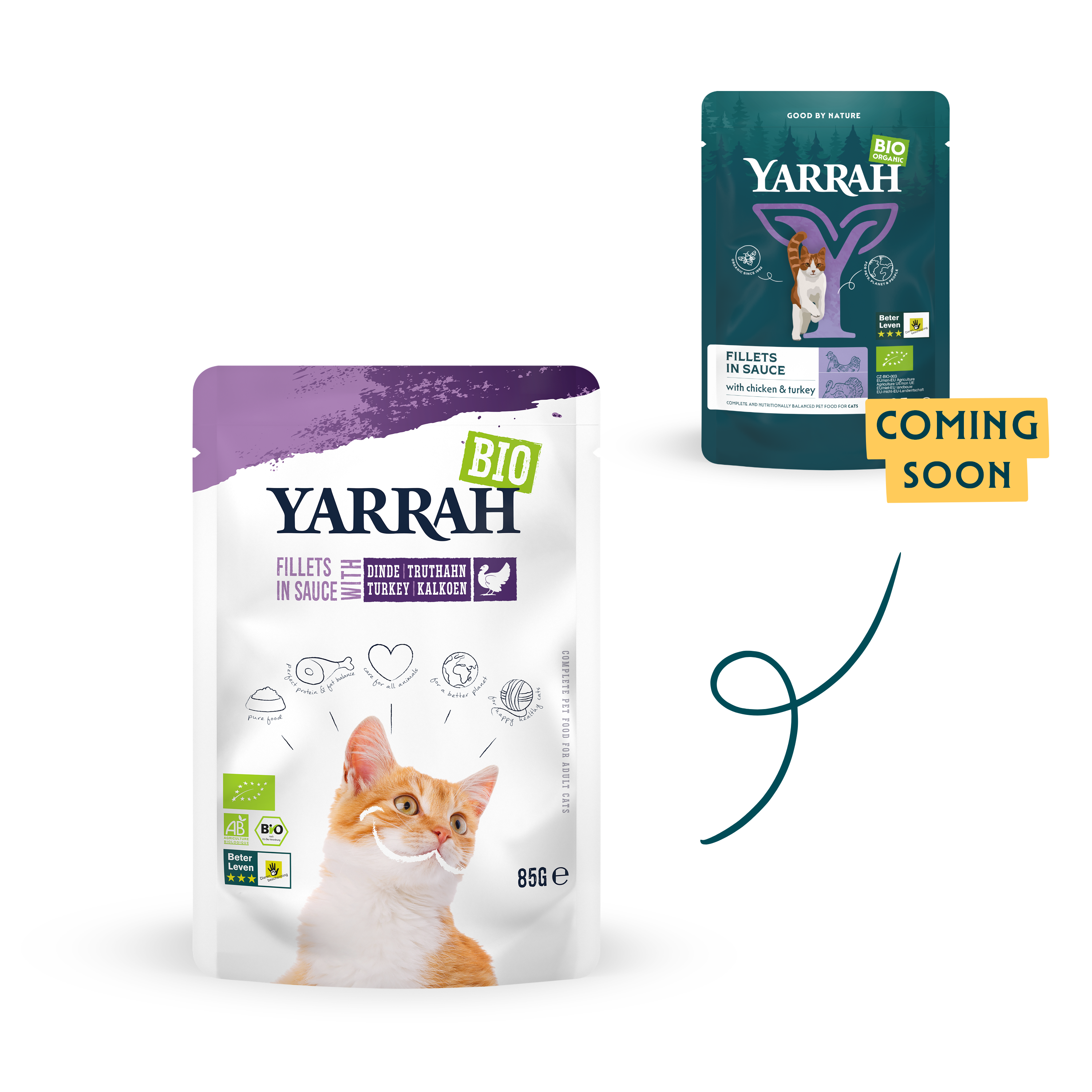 Organic cat food fillets with turkey in sauce